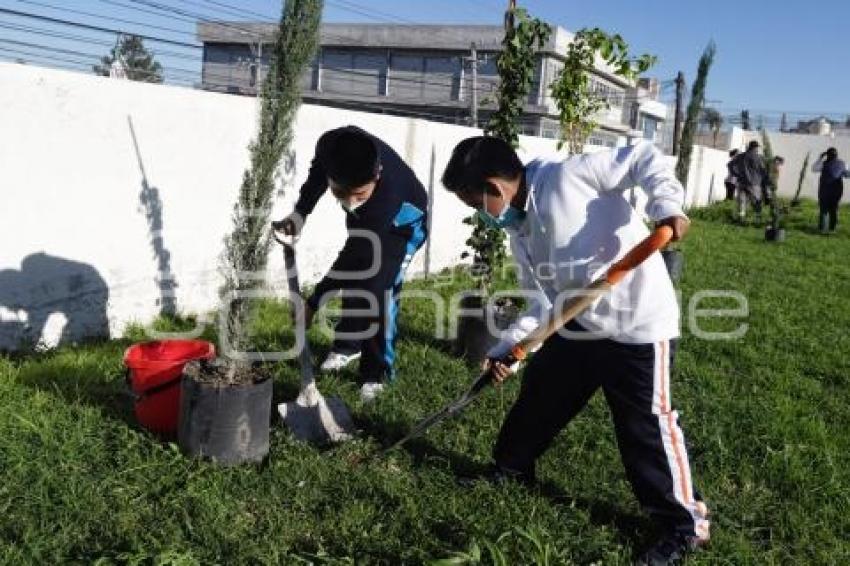 SAN ANDRÉS CHOLULA . JORNADA DE FORESTACIÓN