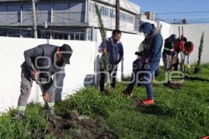 SAN ANDRÉS CHOLULA . JORNADA DE FORESTACIÓN