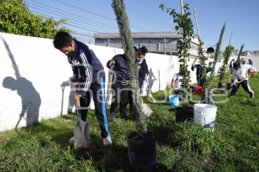 SAN ANDRÉS CHOLULA . JORNADA DE FORESTACIÓN