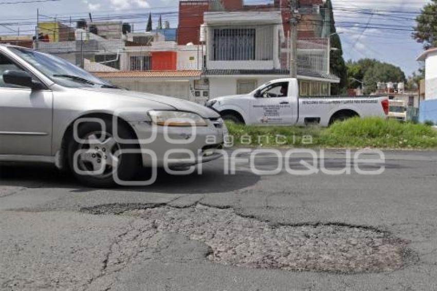 BACHES