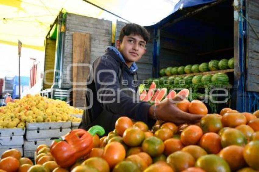 TLAXCALA . MANDARINA