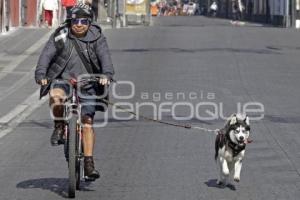 GRAN PASEO PUEBLA