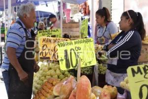 TEMPORADA DE MANDARINA