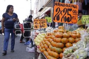 TEMPORADA DE MANDARINA