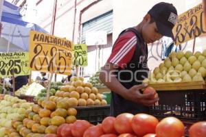 TEMPORADA DE MANDARINA