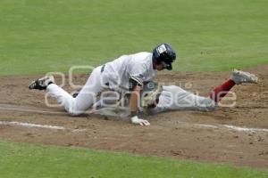 BEISBOL . PERICOS VS MEXICO SUB23