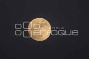 LUNA LLENA