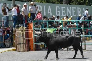 TLAXCALA . PAPALOTLADA