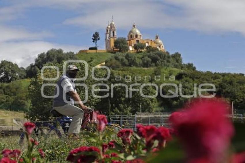 SAN ANDRÉS CHOLULA . CAMPOS DE FLOR