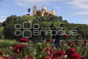 SAN ANDRÉS CHOLULA . CAMPOS DE FLOR