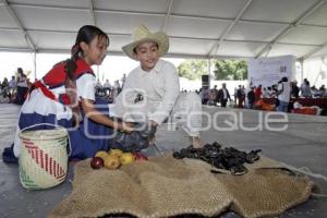 MOLE DE CADERAS