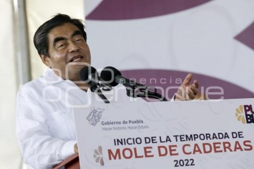 GOBIERNO ESTATAL . MOLE DE CADERAS