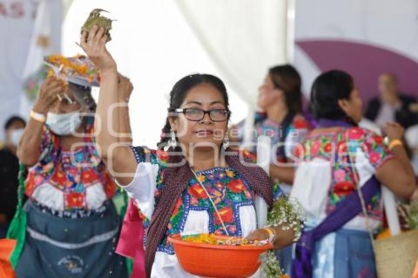 MOLE DE CADERAS