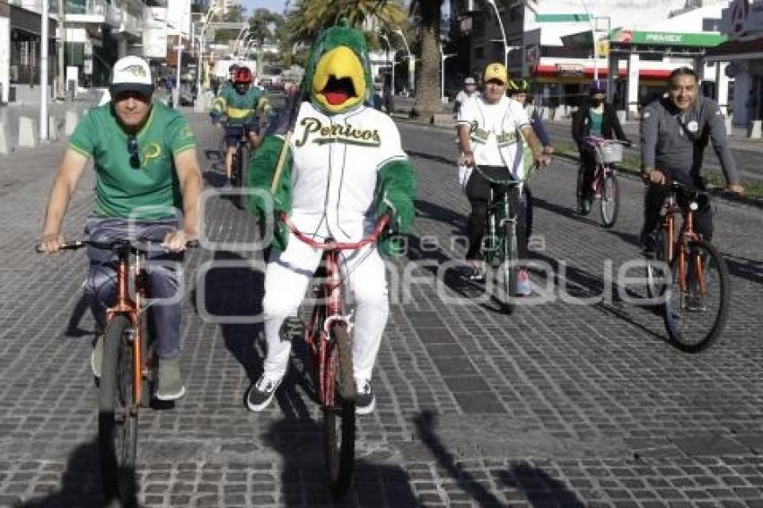 PERICOS DE PUEBLA . RODADA