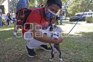 PERRO-GATO FEST