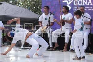 TLAXCALA . ACTIVIDADES CULTURALES 