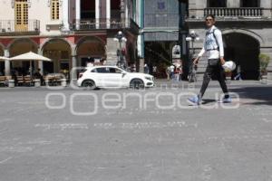 ZÓCALO . MENSAJES ANIMALISTAS