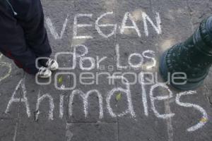 ZÓCALO . MENSAJES ANIMALISTAS