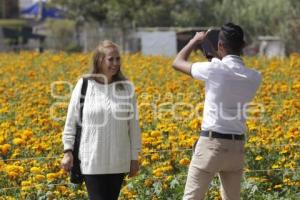 FLOR DE CEMPASÚCHI