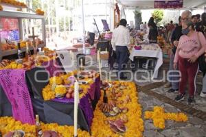 EXPO DÍA DE MUERTOS