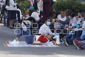 MANIFESTACIÓN . MAESTROS