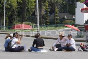 MANIFESTACIÓN . MAESTROS