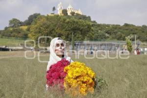 CAMPOS DE CEMPASÚCHIL . SESIONES FOTOGRÁFICAS