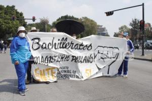 MANIFESTACIÓN . MAESTROS