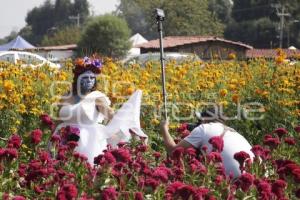 CAMPOS DE CEMPASÚCHIL . SESIONES FOTOGRÁFICAS