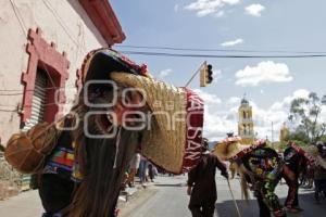 ACATLÁN . TECUANES