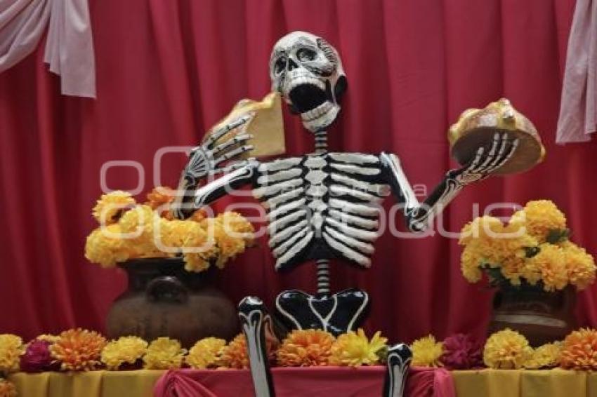 CORREDOR METROPOLITANO DE OFRENDAS