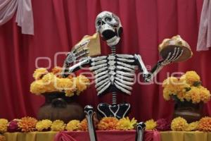 CORREDOR METROPOLITANO DE OFRENDAS
