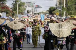 ACATLÁN . TECUANES