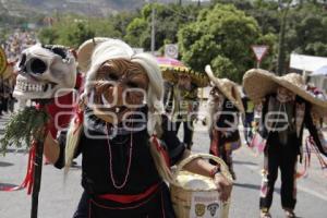 ACATLÁN . TECUANES