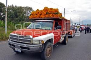 ATLIXCO . INICIO VENTA FLOR DE MUERTO