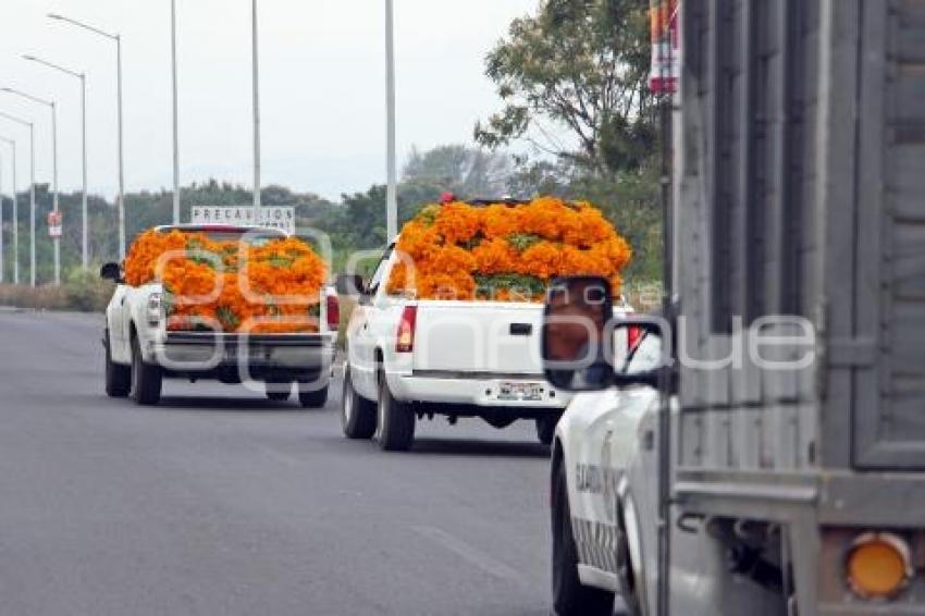 ATLIXCO . INICIO VENTA FLOR DE MUERTO