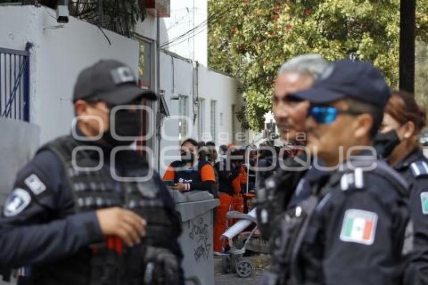 MANIFESTACIÓN NARANJITAS