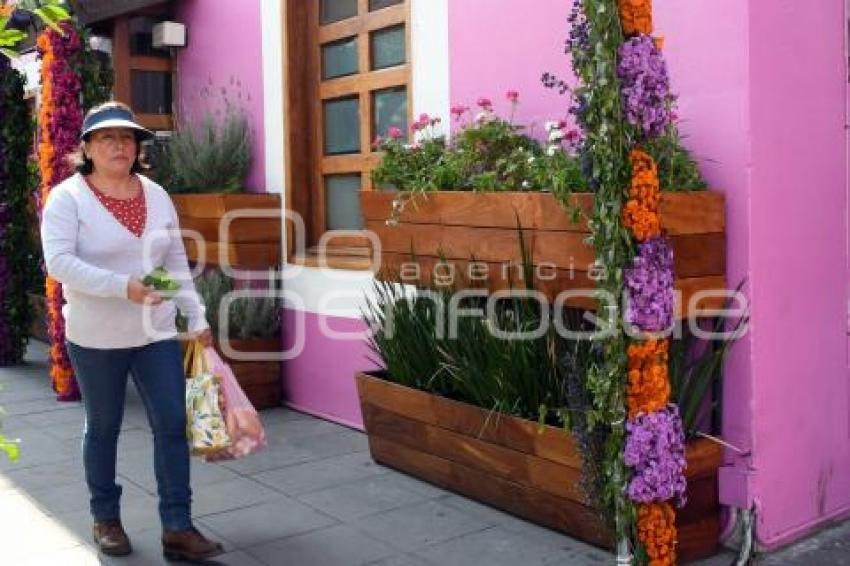 TLAXCALA . FACHADAS TODOS SANTOS