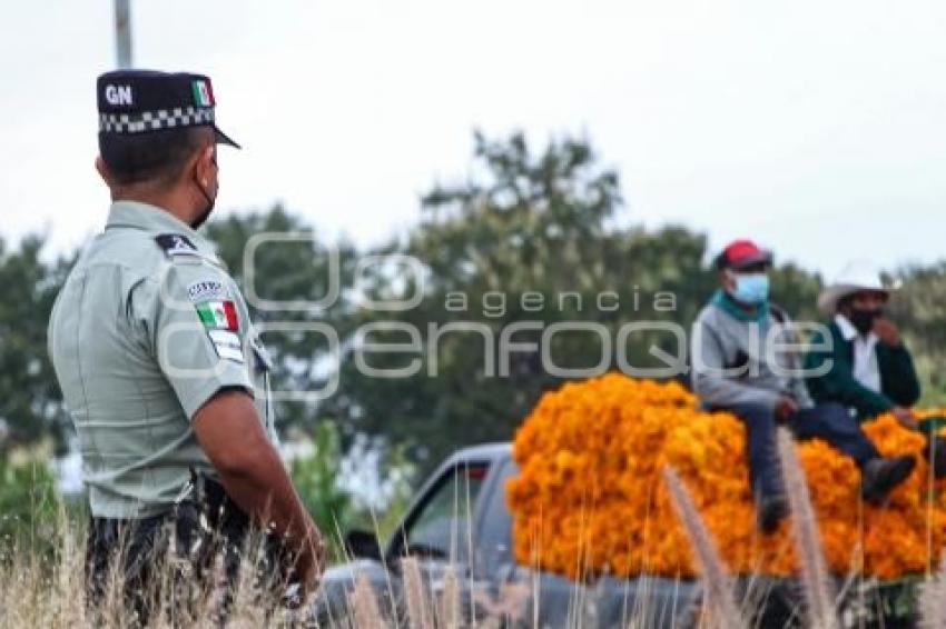 ATLIXCO . INICIO VENTA FLOR DE MUERTO