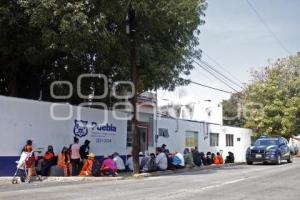 MANIFESTACIÓN NARANJITAS