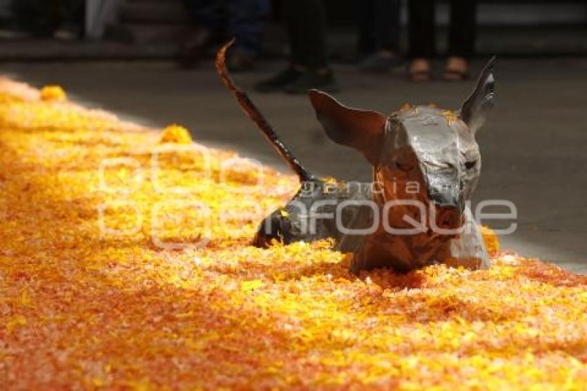 OFRENDAS . ENTRE VIVOS Y MUERTOS