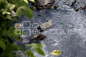 CONTAMINACIÓN . RÍO RABANILLO