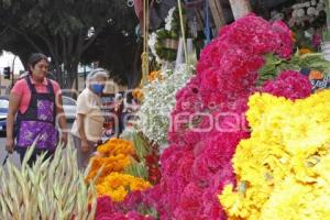 VENTA DE FLORES