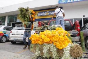 VENTA DE FLORES