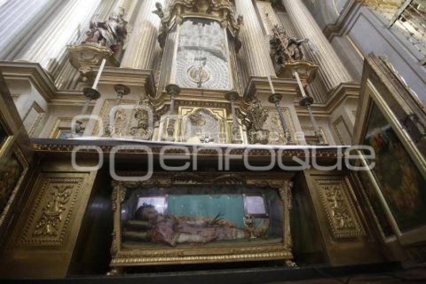 CATEDRAL . CRIPTAS Y RELIQUIAS