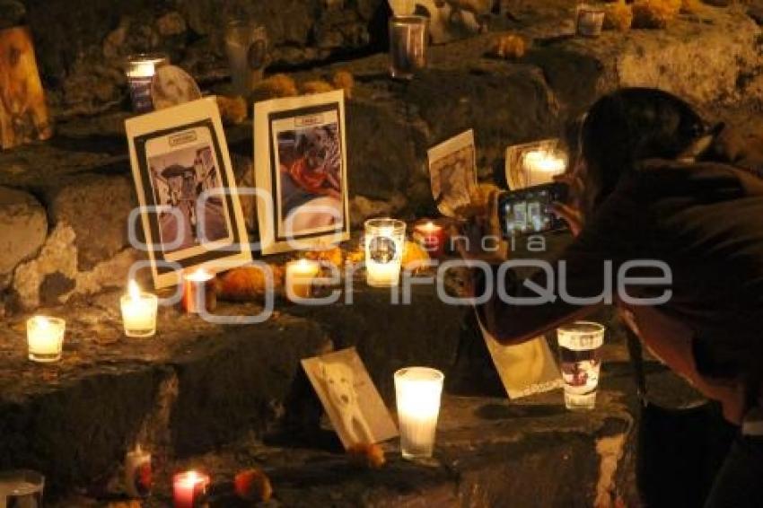 ATLIXCO . OFRENDA MASCOTAS