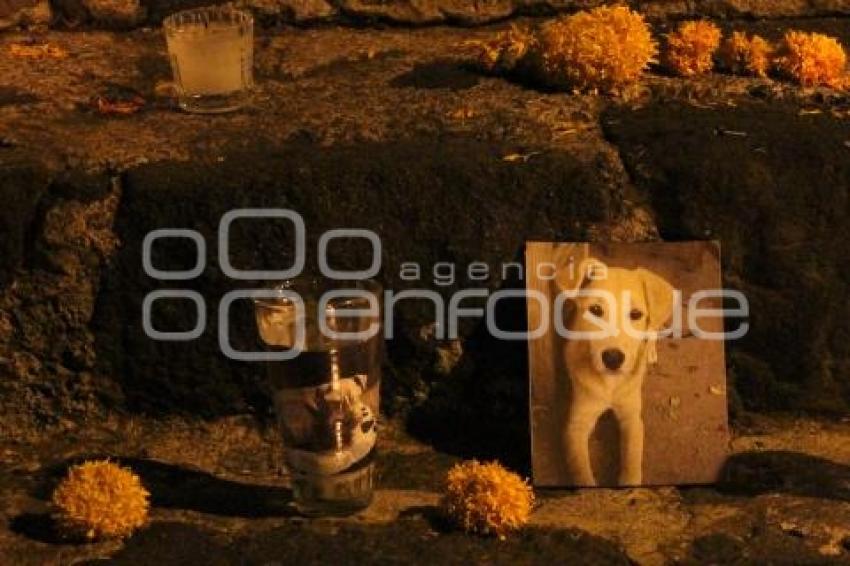 ATLIXCO . OFRENDA MASCOTAS