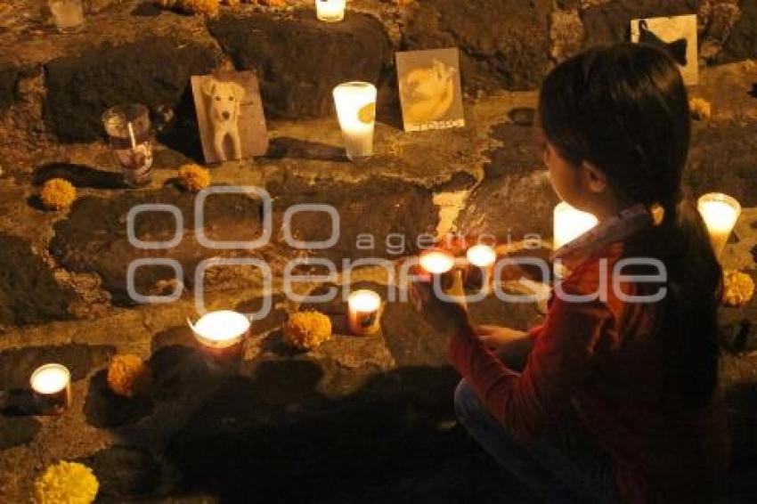 ATLIXCO . OFRENDA MASCOTAS