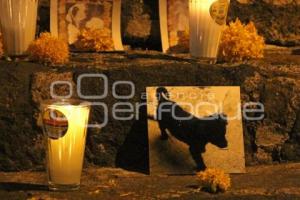 ATLIXCO . OFRENDA MASCOTAS