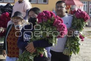 MERCADO DE FLORES